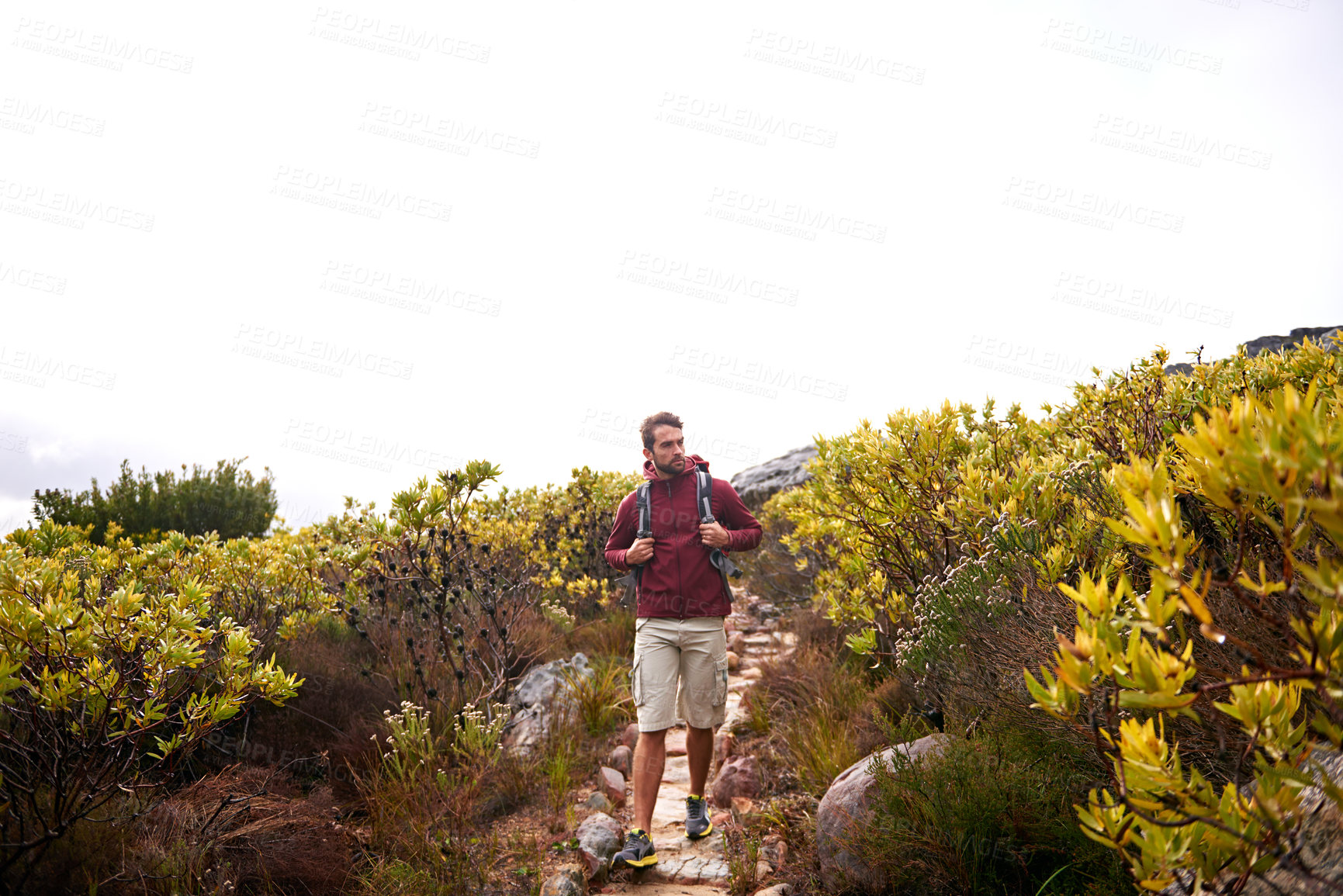 Buy stock photo Hiking, nature and man with backpack, travel and adventure outdoor on mountain path with plants. Journey, fitness and walking with camping gear and bag for exercise and explorer with training