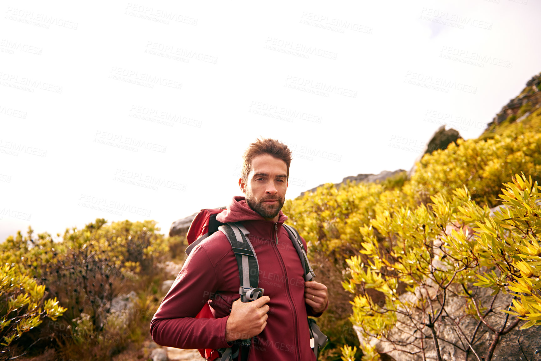Buy stock photo Confidence, hiking and portrait of man on mountain, nature and forest for outdoor adventure. Male person, athlete and sport in environment for exercise, fitness and health with backpack by landscape