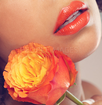 Buy stock photo Closeup, lips and rose for female person, natural beauty and makeup for cosmetics. Wellness, mouth or skin with glow or eco friendly skincare products, nature and flower or treatment for body care