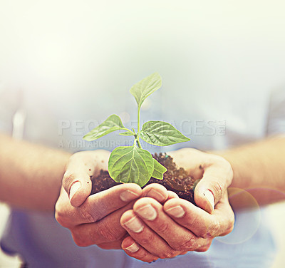 Buy stock photo Nature plant, sunshine or hands of person with new tree life, leaf or support growth for sustainable agriculture. Soil, environment care or closeup volunteer with sapling, lens flare and bright light