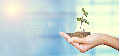Buy stock photo Growth, plant and sustainability with soil in the hand of a business person for eco friendly development. Earth day, spring or nature with an employee holding a green leaf in the palm for ecology