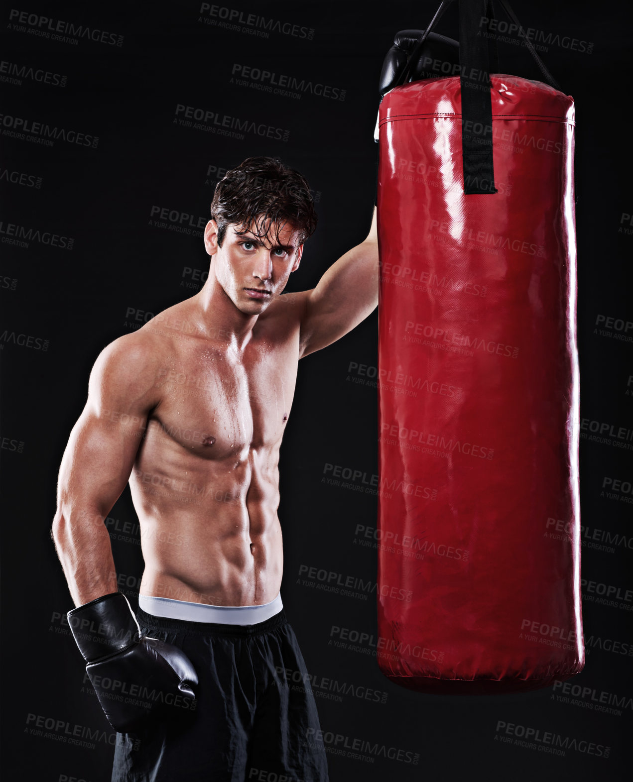 Buy stock photo Boxing, man and portrait in studio with punching bag for workout, exercise or fight competition with dark background. Gloves, boxer and serious male athlete for confidence, martial arts and fitness