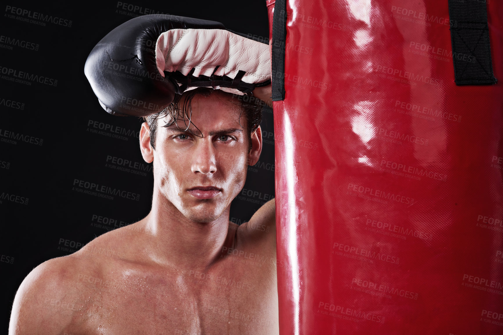 Buy stock photo Boxer, sweat and portrait of man in studio with punching bag for workout, exercise or fight competition with dark background. Boxing, sports and serious athlete for training, martial arts or fitness