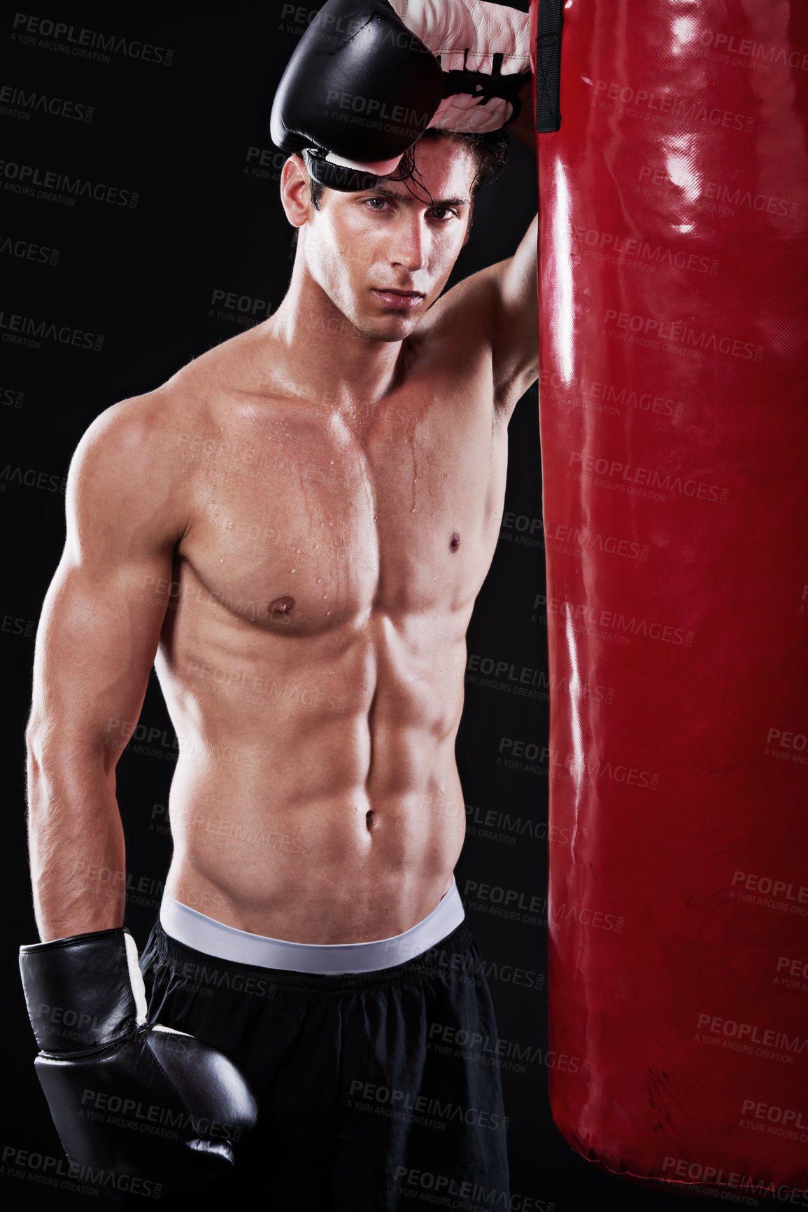 Buy stock photo Boxer, training and portrait of man in studio with punching bag for workout, exercise or fight competition with dark background. Gloves, boxing and male athlete for confident, martial arts or fitness