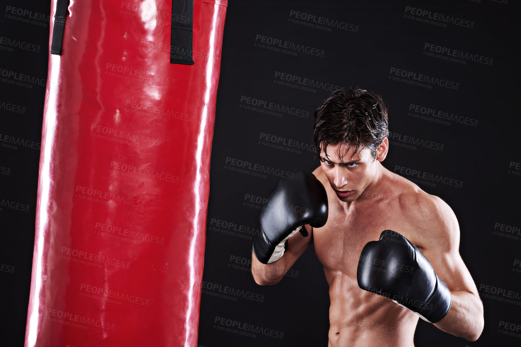 Buy stock photo Man, punching bag and martial arts with fitness, exercise and fighter with gloves and progress with cardio. Boxer, practice or athlete with training, gym or workout with endurance, health or wellness