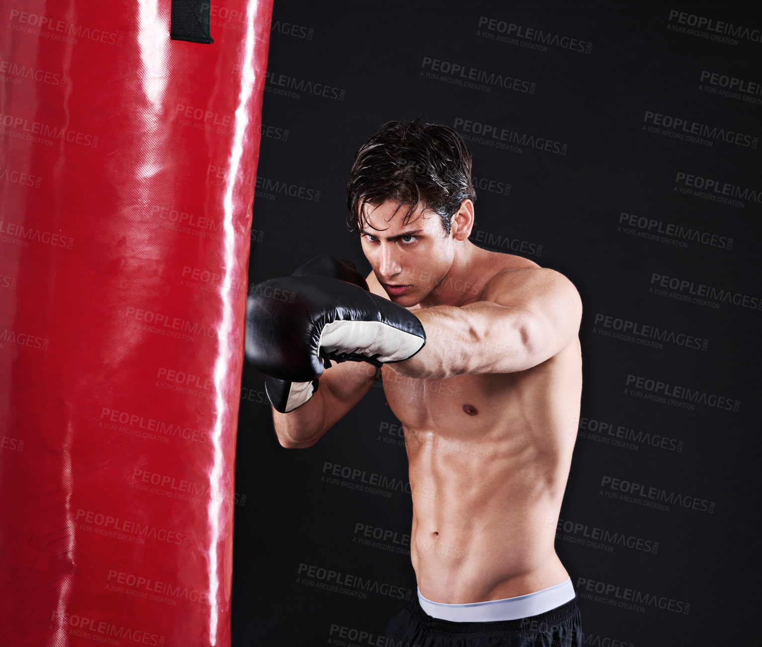 Buy stock photo Studio shot of a young mixed martial artist