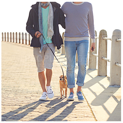 Buy stock photo Dog, walking and gay men on path for summer bonding, love and outdoor happiness. Animal, romance and lgbtq couple on path together for weekend date, relax and partner in sunshine with pet puppy