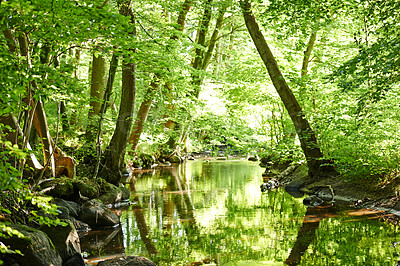 Buy stock photo Shot of a river running through a quiet green forest