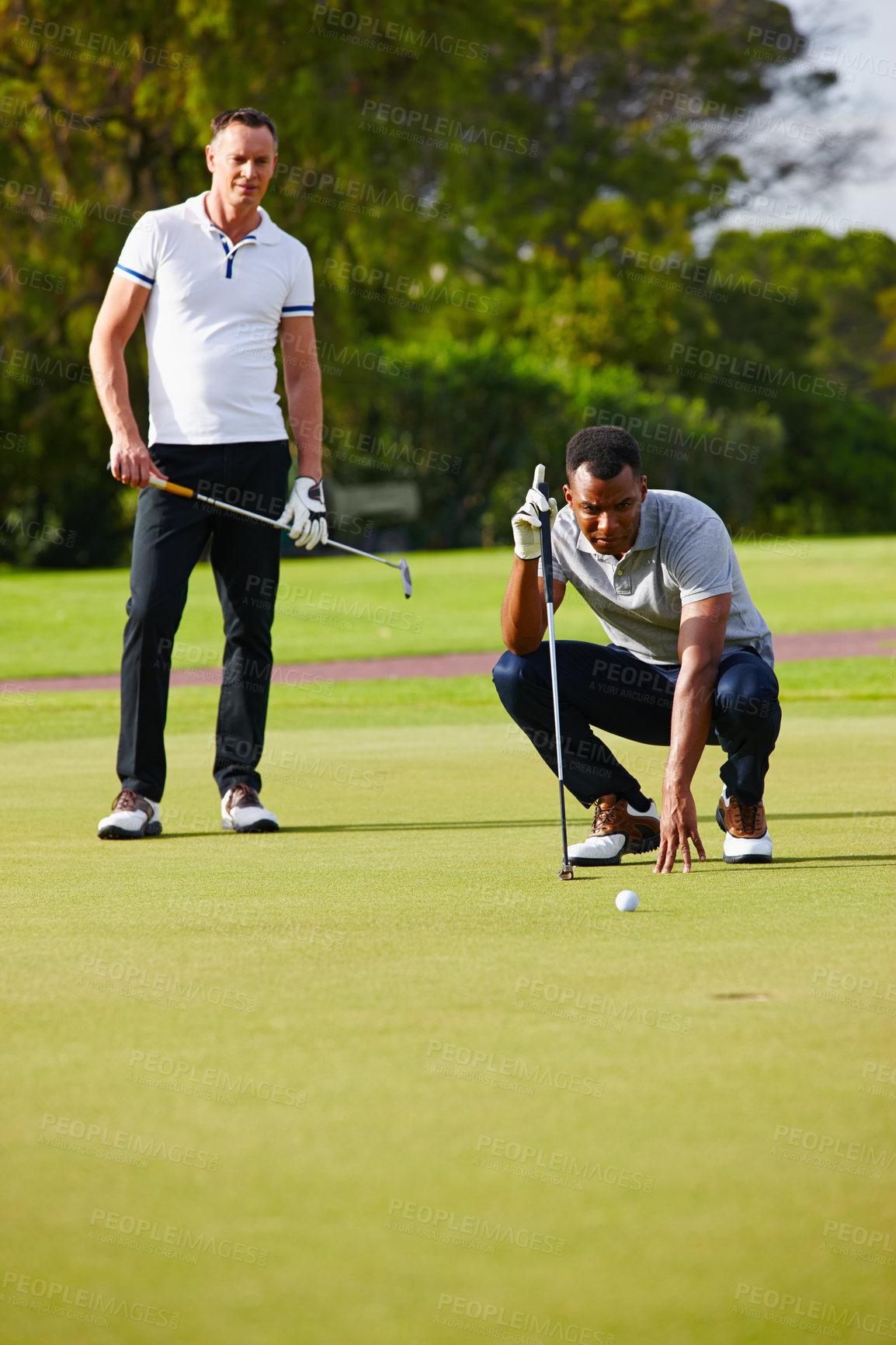 Buy stock photo Men, play and aim golf ball at hole for sport, fitness or health in outdoor competition on summer day. People, watch and concentrate in tournament on green course for drive, hit and putt together 