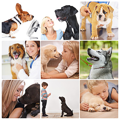 Buy stock photo Collage, children and people with love for dogs by care, content and embrace from childhood. Happy, woman and bonding with playful pet, companion and friend by taking animal to vet for health