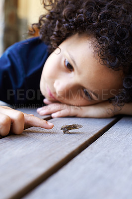 Buy stock photo Shot of a bored little boy playing with an insect
