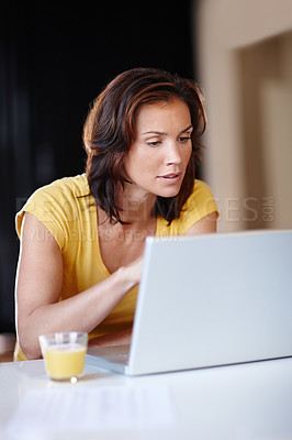 Buy stock photo Businesswoman researching on laptop and reading in a home office. Serious focused creative designer and blogger sitting alone in a cafe. A remote working freelancer and entrepreneur using technology