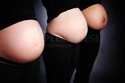 Buy stock photo Women, pregnant and stomach in studio for friends, wellness and health or care for child. Support, community or diversity for mothers by black background and pride for growth and development for baby