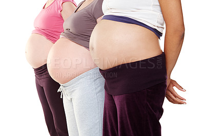 Buy stock photo Closeup of three unknown pregnant women standing close together, isolated on white background in studio. Zoomed baby bump of expecting mothers to be and friends. Posing, showing bare belly and tummy