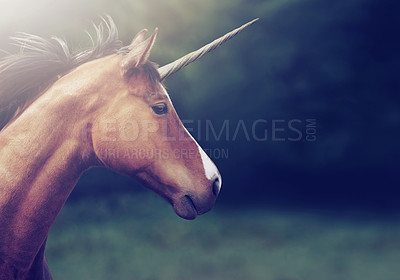 Buy stock photo Shot of a beautiful unicorn