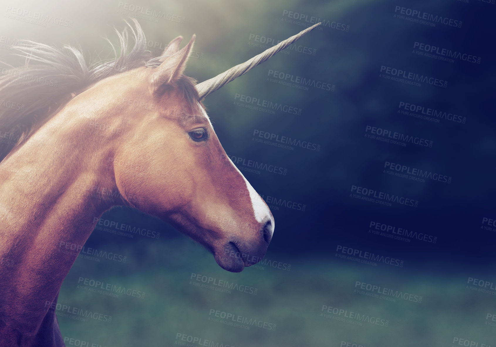 Buy stock photo Shot of a beautiful unicorn