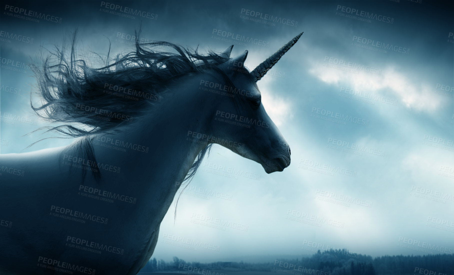 Buy stock photo Art, night and unicorn in nature with freedom, strength and beauty, magic and dreamy on sky background. Mythical, creature and fantasy animal in a forest for evening run, creative and ethereal