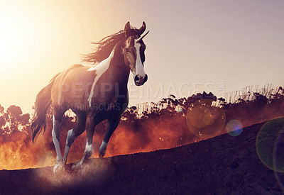 Buy stock photo Shot of a beautiful unicorn running through a fantasy landscape