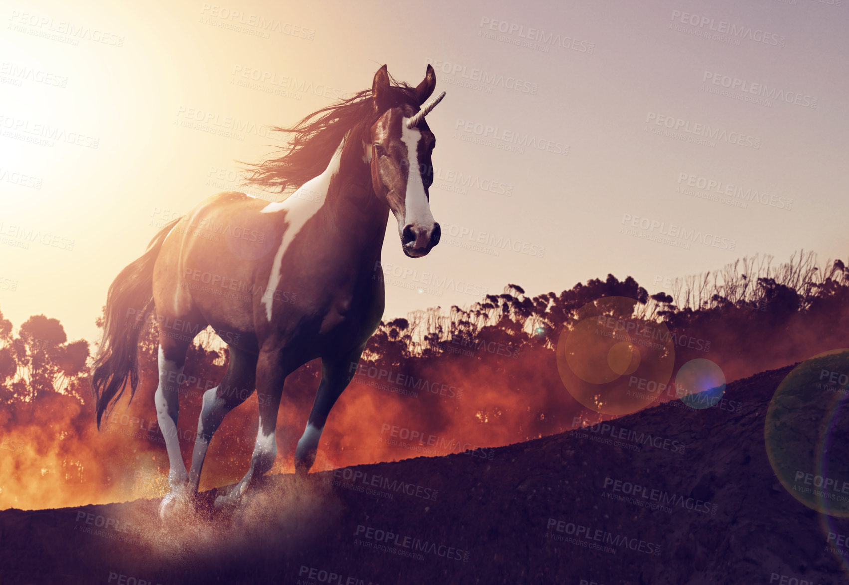 Buy stock photo Shot of a beautiful unicorn running through a fantasy landscape