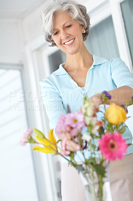Buy stock photo Happy, senior and woman arrange flowers in home, vase and creativity in spring of retirement. Floral, bouquet and elderly person with gardening hobby or relax with daisy wildflowers in house