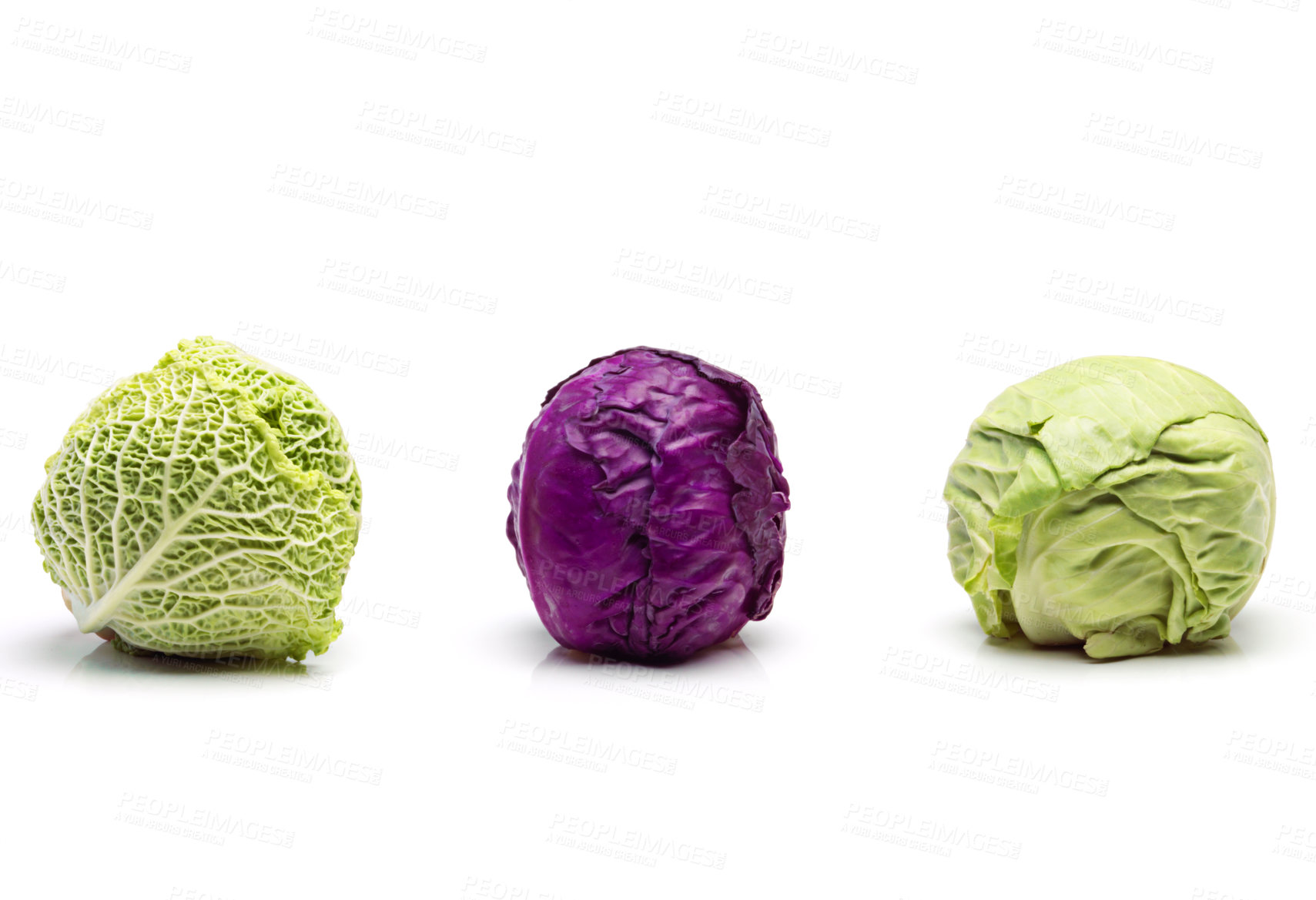 Buy stock photo Fresh, cabbage and studio in white background for cooking, meal and prep in healthy diet for wellness. Green, red and vegetables in food for salad, nutrition and vegan for kitchen in backdrop