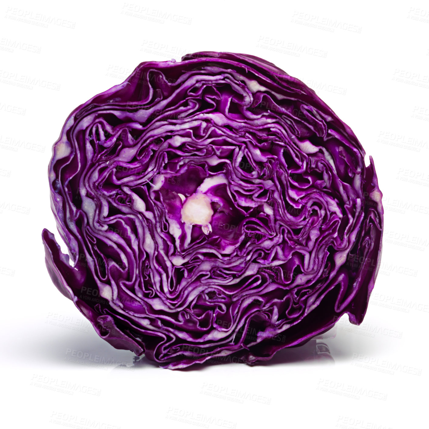 Buy stock photo Red, cabbage and studio in white background for vegan, meal and prep in healthy diet for wellness. Fresh, organic and vegetable in food for salad, nutrition and cooking for kitchen in backdrop