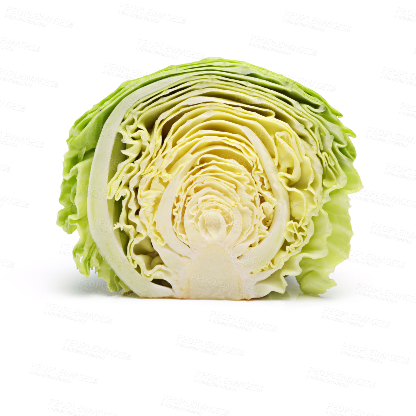 Buy stock photo Organic, cabbage and studio in white background for cooking, meal and prep in healthy diet for wellness. Green, fresh and vegetables in food for salad, nutrition and vegan for kitchen in backdrop