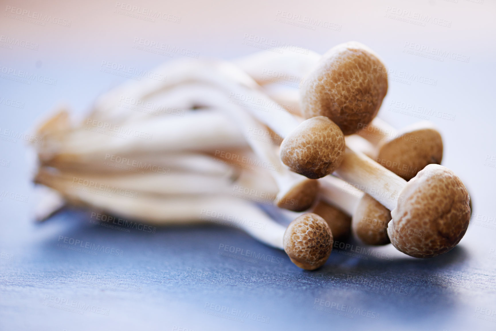 Buy stock photo Beech mushrooms, preparing and board in closeup with protein for fibre in healthy diet with vegetables for cooking. Vitamin b, nutrition and vegetable with groceries, eating and organic for health