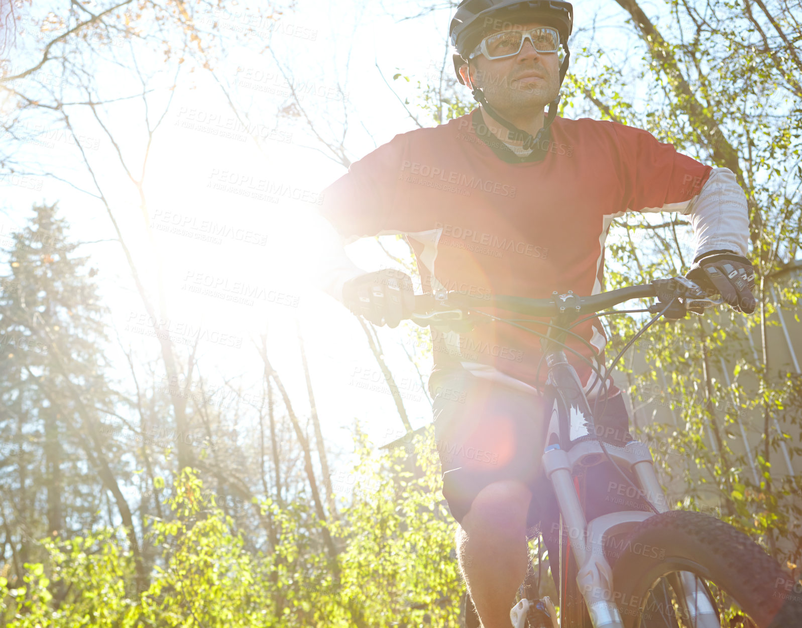 Buy stock photo Man, fitness and training with bicycle in forest as exercise or workout for health, wellbeing and wellness. Lens flare, male person and cyclists in woods for hobby, sport activity and competition