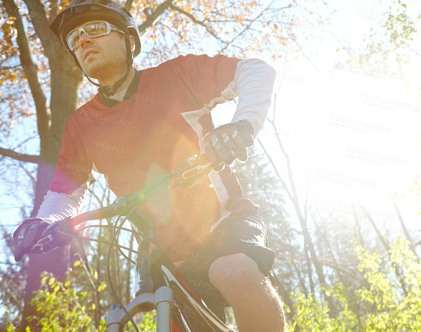 Buy stock photo Man, fitness and bicycle in forest as exercise or workout for health, wellbeing and wellness. Lens flare, male person and cyclists in woods for hobby, sport activity and routine for training