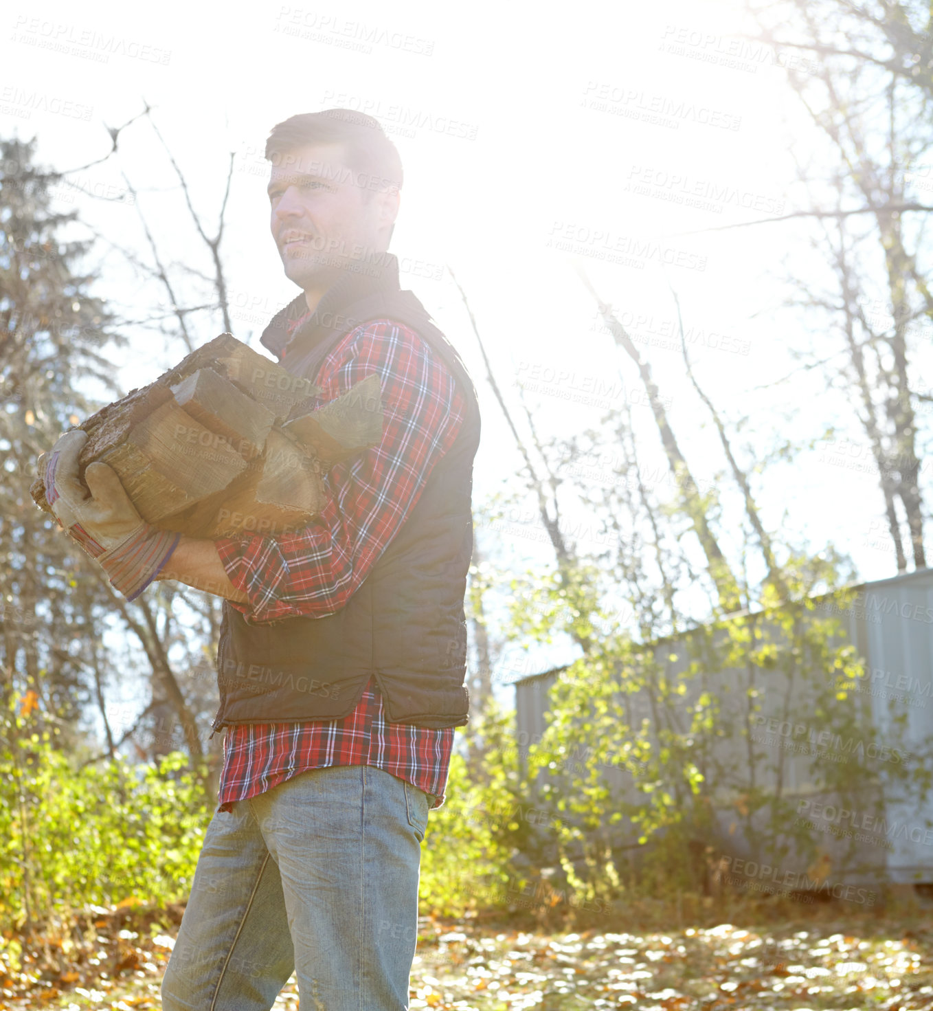 Buy stock photo Deforestation, thinking and wood with lumberjack man in forest for industry, logging or process. Environment, stock and sustainability with professional person in nature or woods for conservation