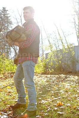 Buy stock photo Carrying wood, deforestation and lumberjack man in forest for industry, logging or process. Environmental, stock and sustainability with professional person in nature or woods for autumn conservation