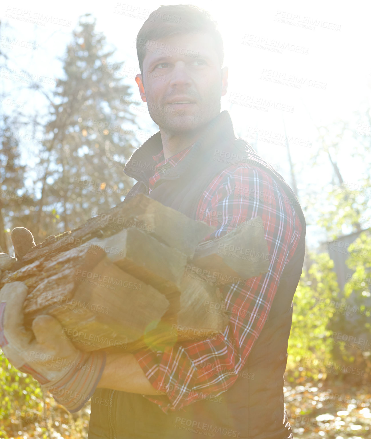 Buy stock photo Carrying wood, sustainability and lumberjack man in forest for industry, logging or process. Deforestation, stock and thinking with professional person in nature or woods for autumn conservation