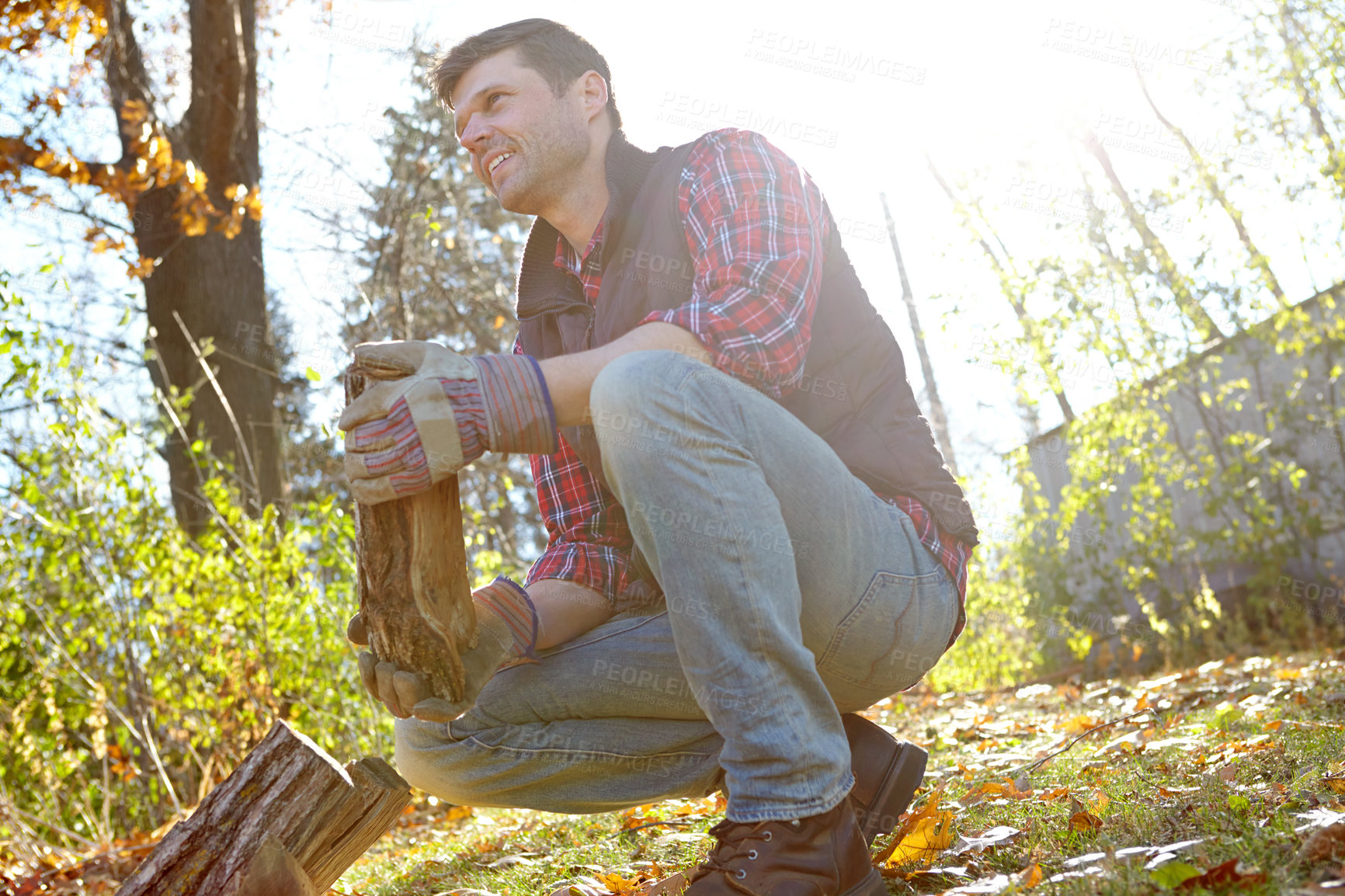 Buy stock photo Man, forest and collect wood for fire or survival with camp for adventure and explore in Canada. Male person, outdoor and smile or happy with firewood in nature for warmth on campsite and countryside