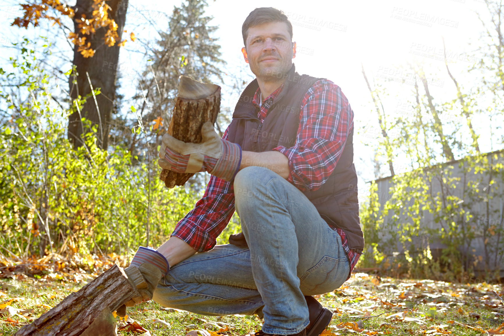 Buy stock photo Man, lumberjack and working with wood in nature, autumn season and forest management. Environmental sustainability, harvest trees and logging site in wilderness, safety gloves and collecting timber