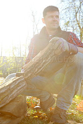 Buy stock photo Man, lumberjack and working with timber in nature, autumn season and forest management. Environmental sustainability,  harvest trees and logging site in wilderness, safety gloves and collecting wood