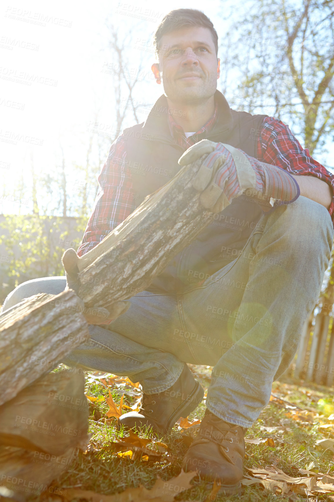 Buy stock photo Man, lumberjack and outside with wood in nature, autumn season and forest management. Environmental sustainability,  harvest trees and logging site in wilderness, safety gloves and collecting timber