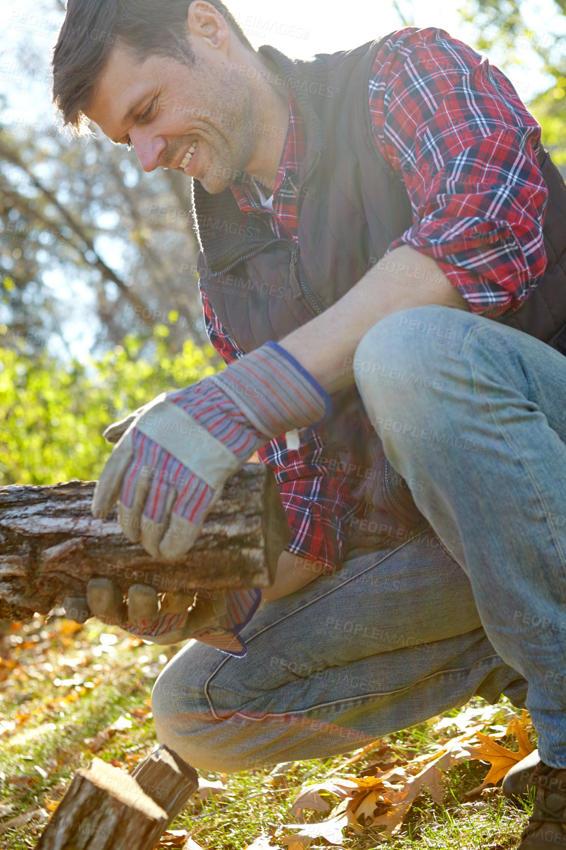 Buy stock photo Man, lumberjack and happy with wood in nature, autumn season and forest management. Environmental sustainability,  harvest trees and logging site in wilderness, safety gloves and collecting timber