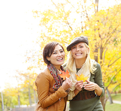 Buy stock photo Friends, portrait and women with leaves in autumn for outdoor adventure, environment or season change. Happy, people and smile with foliage in park for holiday, travel or vacation together in Germany