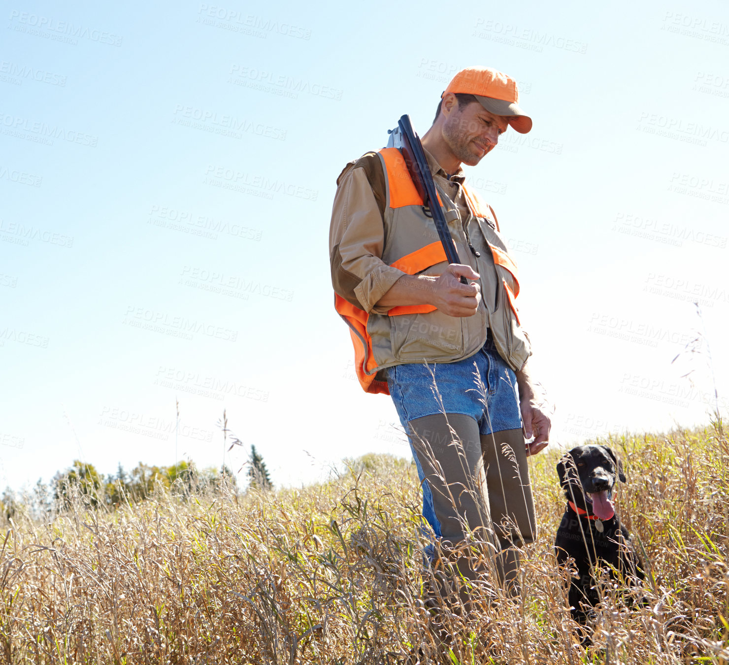 Buy stock photo Man, dog and rifle in forest for hunting, monitor park and search for danger together in nature. Mature person, pet animal and hunter helper in field to guide in woods, partnership and bush mockup