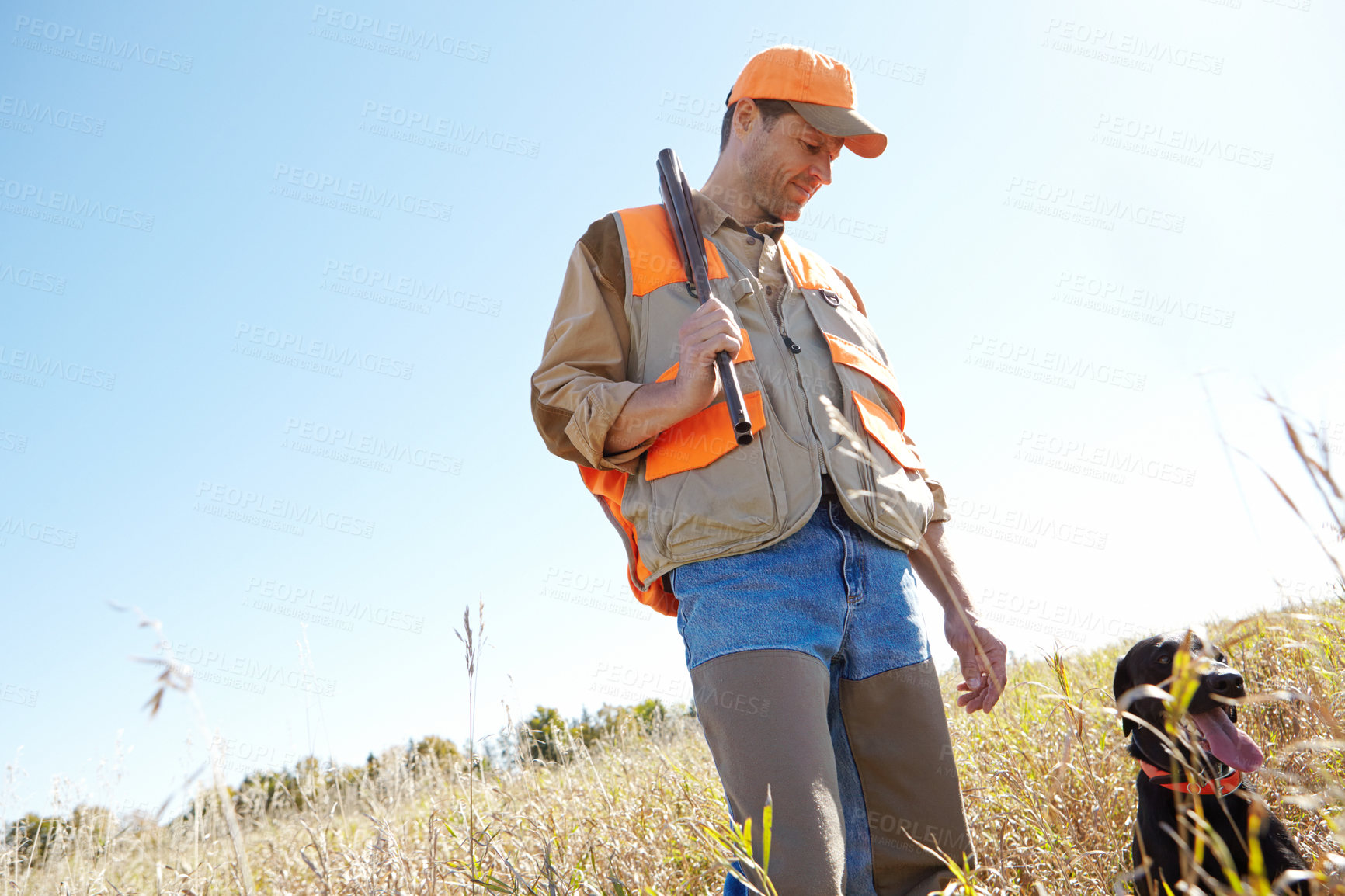 Buy stock photo Man, dog and bush for hunting prey, stalking and search for game together in nature. Mature person, pet animal and hunter helper in field to guide in woods, partnership and tracking in outdoor mockup