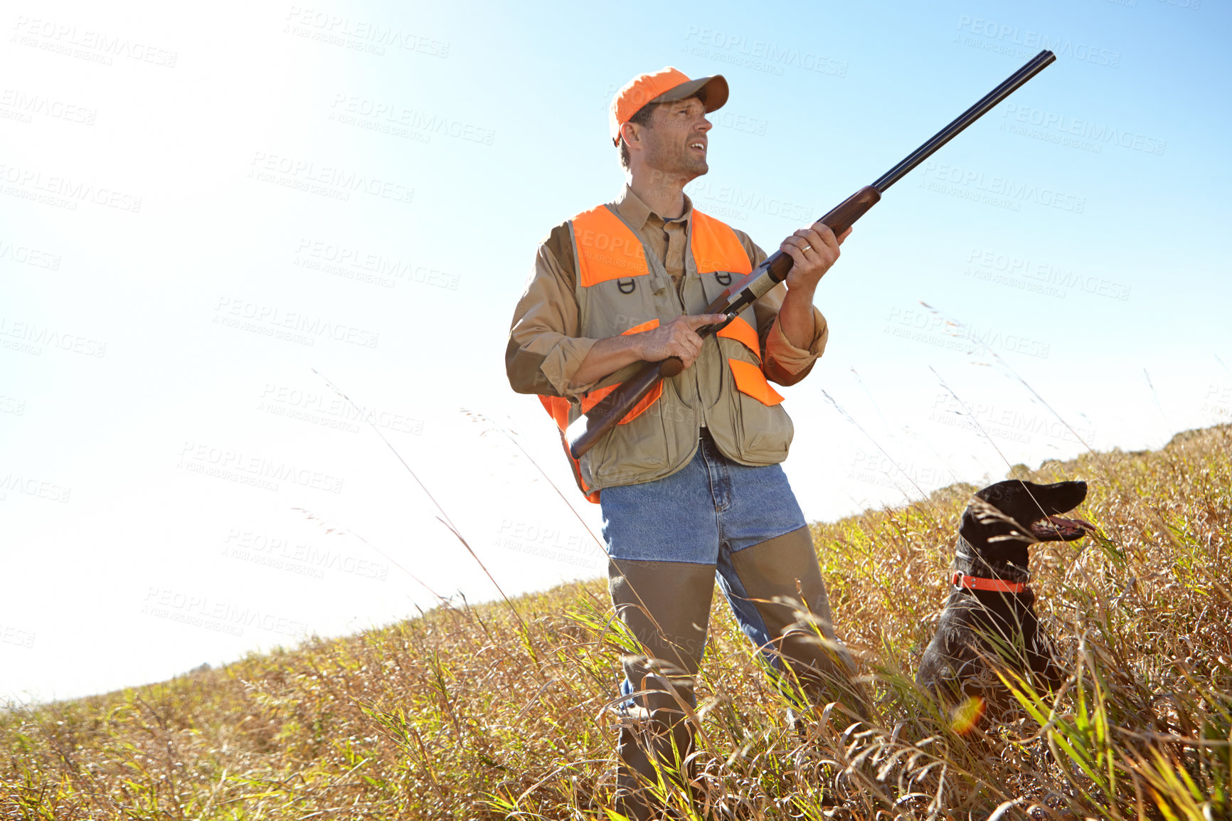 Buy stock photo Man, dog and rifle in outdoor for huntsman, monitor park and search for danger together in nature. Mature person, pet animal and tracking team in field to guide in woods, mockup and stalking game