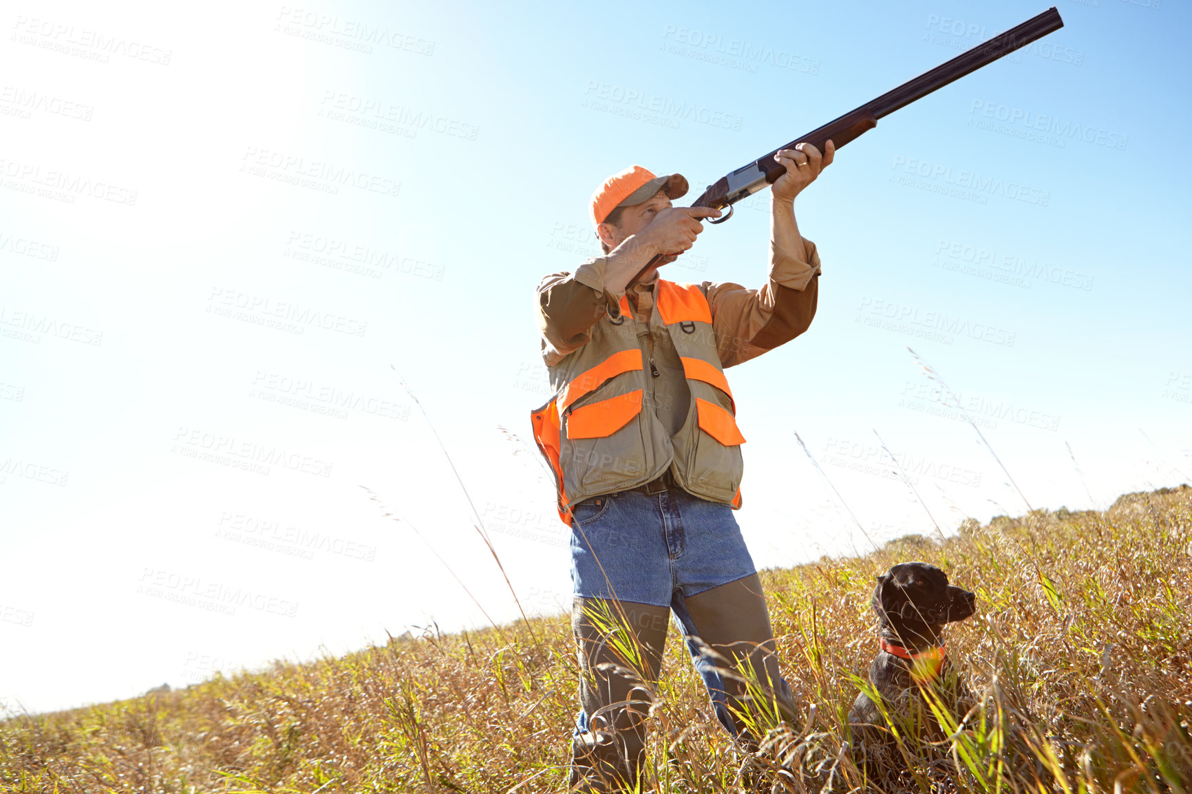 Buy stock photo Man, dog and rifle in outdoor for hunting, monitor park and search for danger together in nature. Mature person, pet animal and hunter helper in field to guide in woods, mockup and tracking team