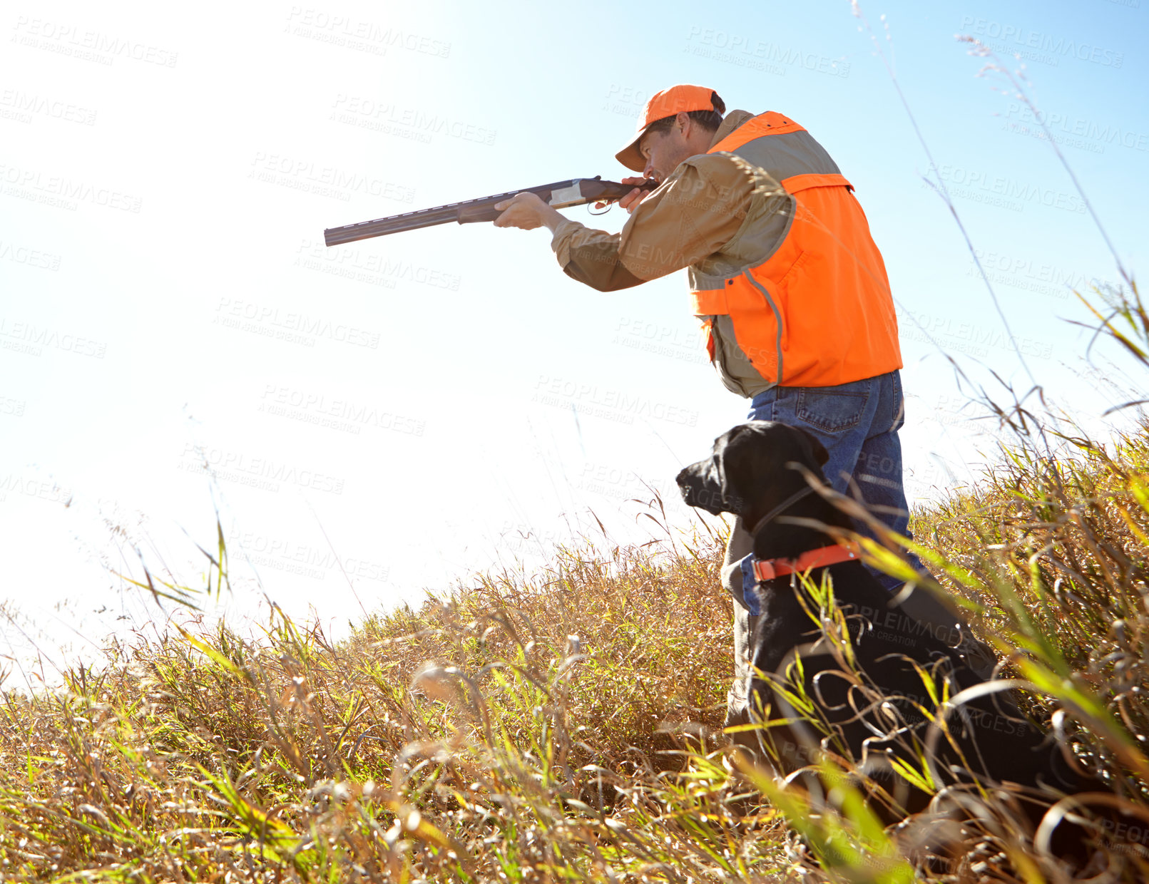 Buy stock photo Man, dog and rifle for hunting training, outdoor and shooting game for prey together in nature. Person, pet animal and hunter support in field to guide in woods, partnership and tracking in sports