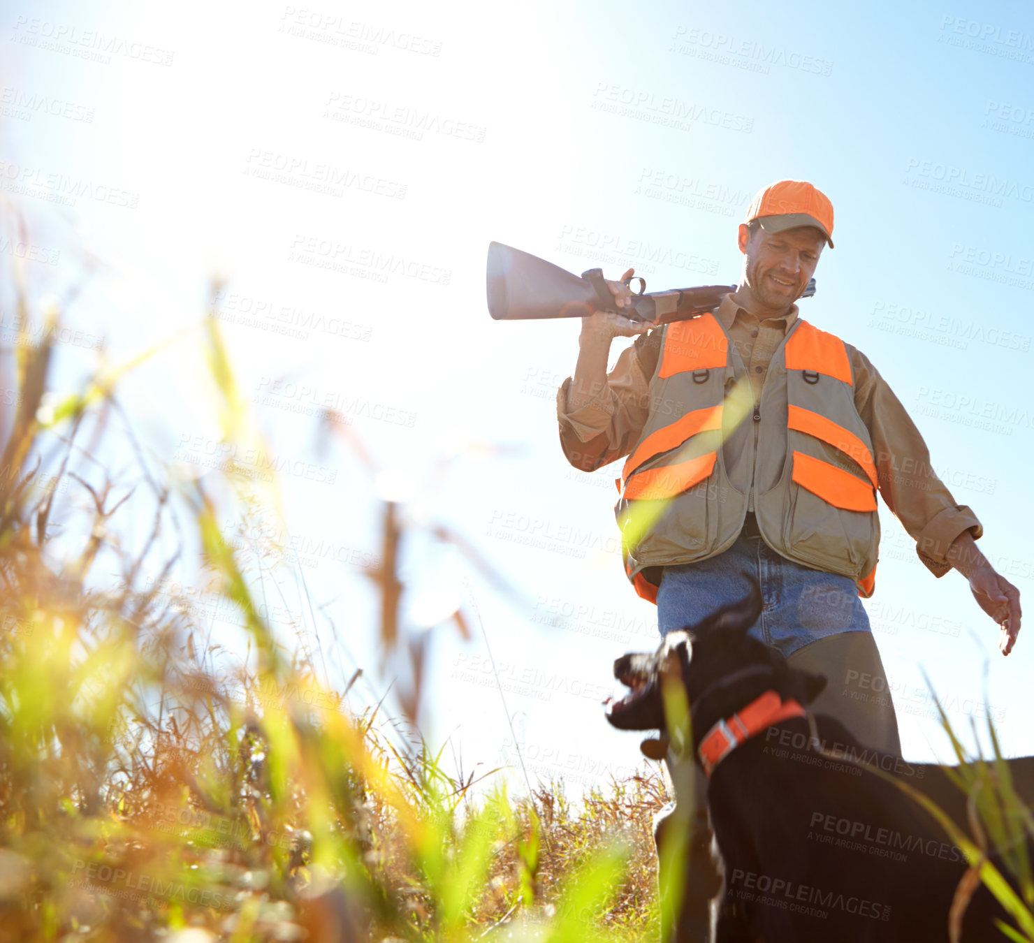 Buy stock photo Man, dog and outdoor for hunting adventure, rifle and stalking prey together in nature. Mature person, pet animal and hunter support in field to guide in woods, partnership and tracking in sports