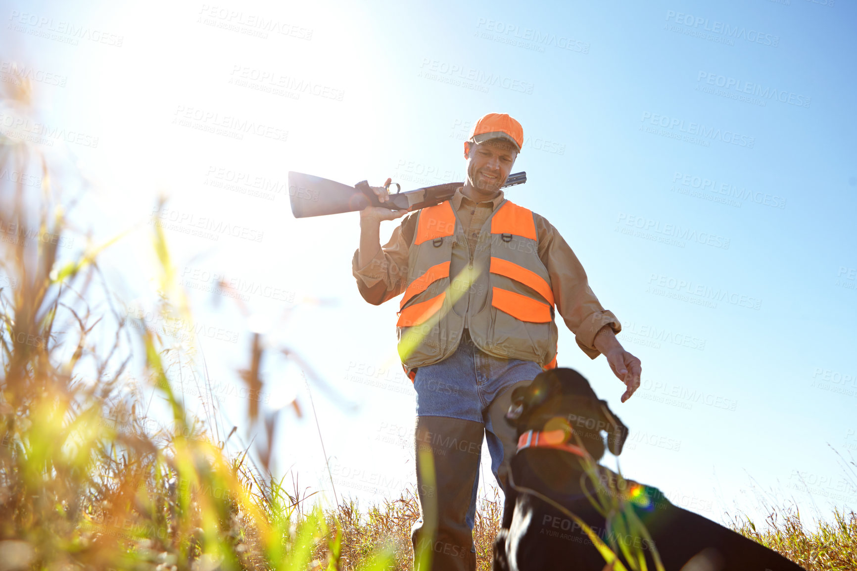 Buy stock photo Man, dog and outdoor for hunting sports, training and search for prey together in nature. Mature person, pet animal and hunter support in field to guide in woods, partnership and tracking in bush