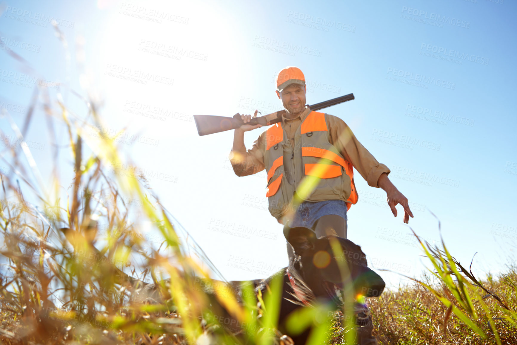 Buy stock photo Man, dog and bush for hunting sports, shotgun practice and stalking prey together in nature. Mature person, pet animal and hunter support in field to guide in woods, partnership and outdoor tracking