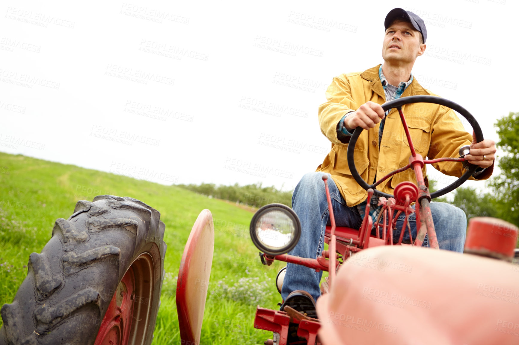 Buy stock photo Driver, farming and man with tractor for driving, harvesting and tiling for cultivation in countryside. Field, male person or farmer with machine truck for agriculture, planting or plowing for growth