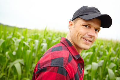 Buy stock photo A farmer standing in his corn field 