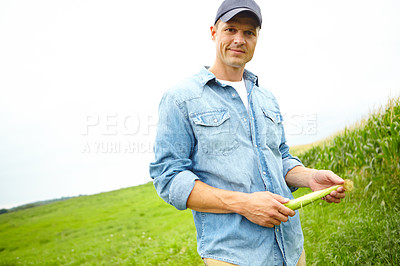 Buy stock photo A farmer examining some corn from his crop while standing in his field